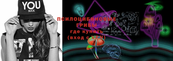 первитин Дмитриев