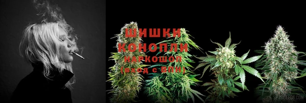 первитин Дмитриев